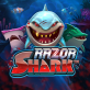  Razor Shark review