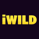 iWild Casino Test