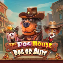  The Dog House Dog or Alive Test