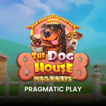  The Dog House Megaways Test