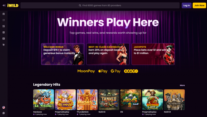 iWild Casino 1