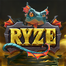  Ryze review