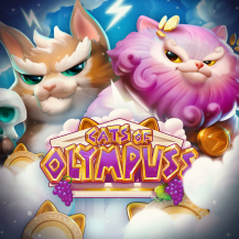  Cats of Olympuss review