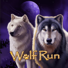  Wolf Run review