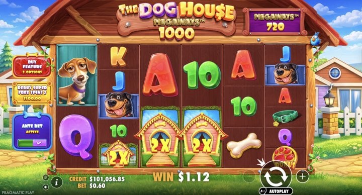 The Dog House Megaways 1000 16