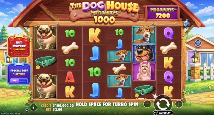 The Dog House Megaways 1000 1