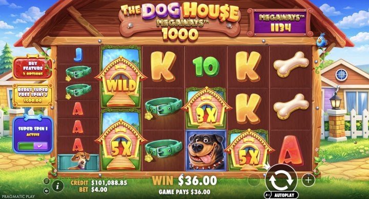 The Dog House Megaways 1000 17