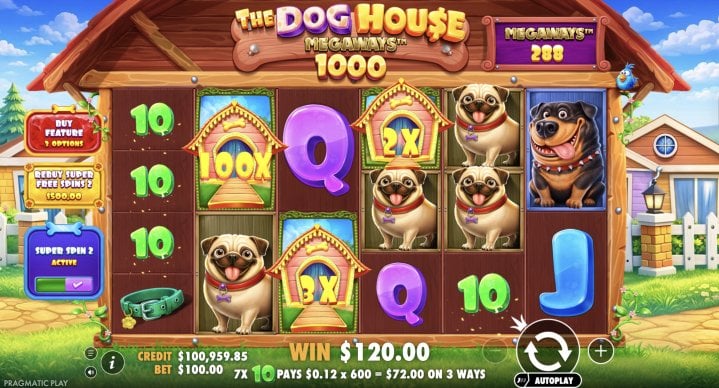 The Dog House Megaways 1000 18